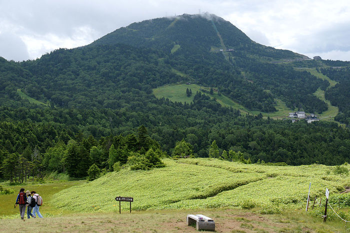 【長野】大自然を満喫! 景色が素晴らしい山ノ内町の山々