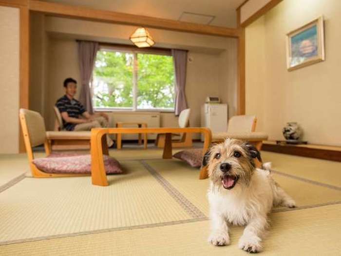 ペットといっしょに北海道旅行(じゃらん編):おすすめホテル・旅館ランキング15選