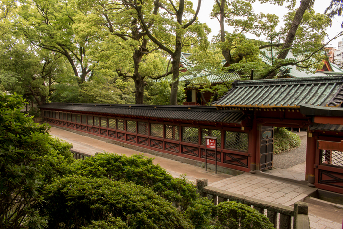 【東京・神社】ご利益あるかも!?絶対行きたいパワースポット15選