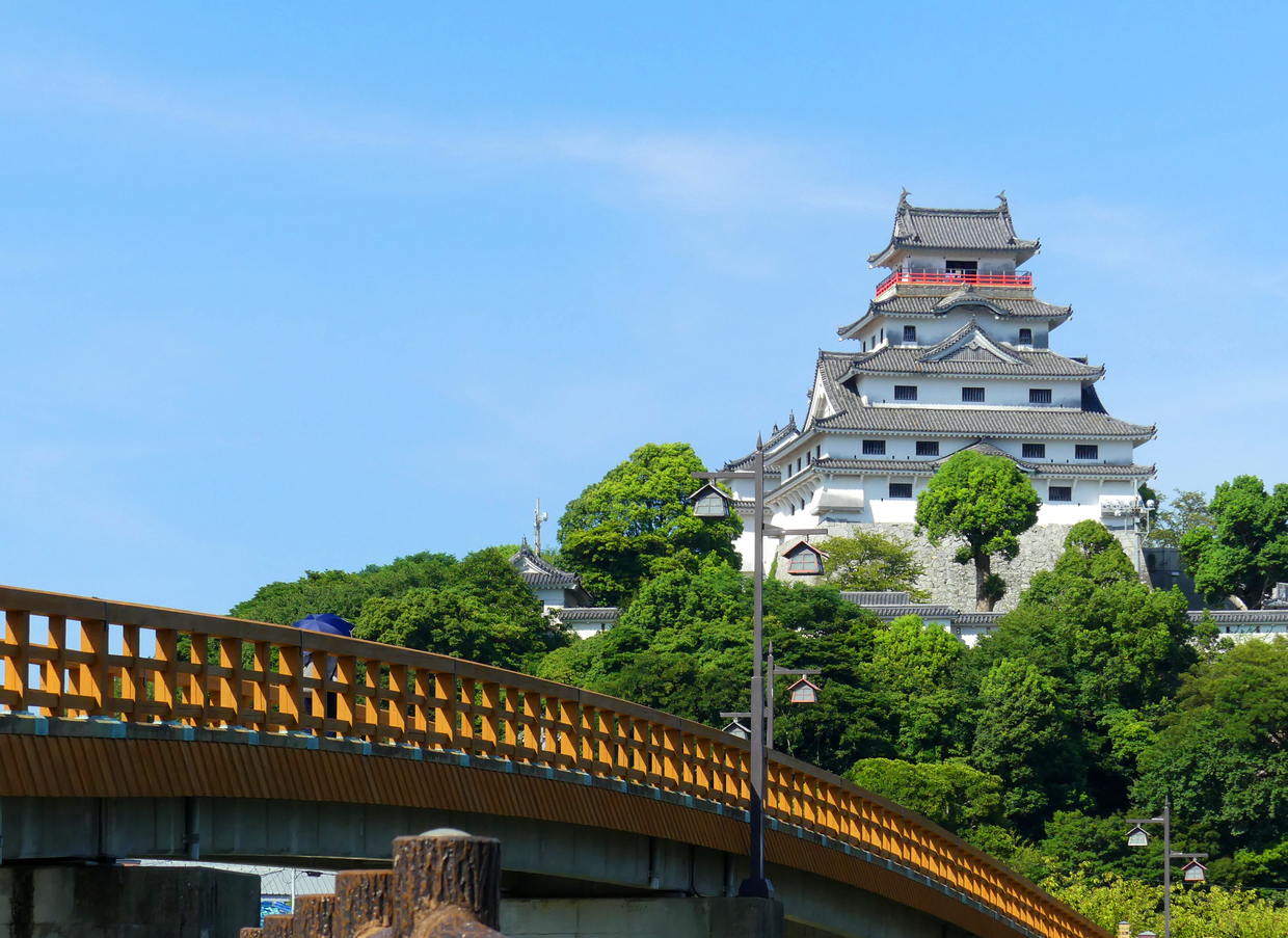 ソース画像を表示