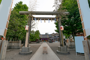 〜浅草神社をめぐる旅〜旅好き女子必見の権現造りの社殿