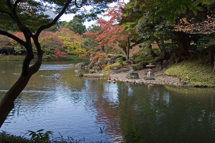 【東京】優美な紅葉狩りと一緒に楽しむ秋祭り5選
