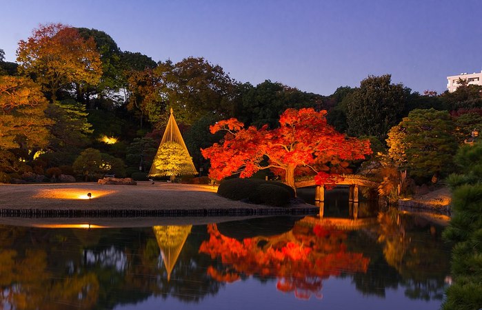 【東京】優美な紅葉狩りと一緒に楽しむ秋祭り5選