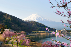 河口湖で子供連れで泊まりたい旅館8選！子連れの家族旅行におすすめ