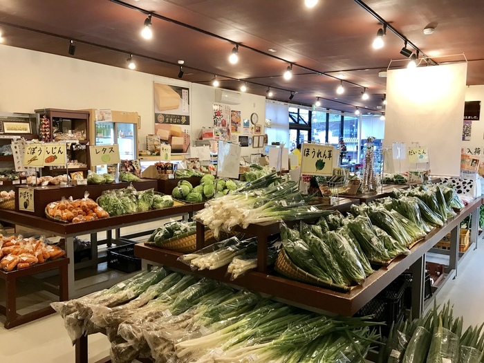 【千葉県栄町】江戸時代の衣装で本格コスプレ♪CMロケ地を巡り歴史の世界へタイムスリップ!ドラムの里「コスプレの館」