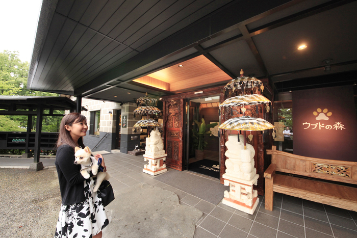 【静岡】伊豆高原の宿泊でおすすめのホテル9選