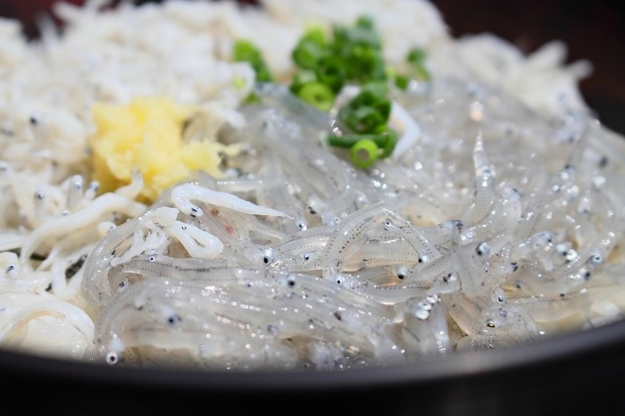 【伊豆】沼津の魚河食堂街で新鮮な寿司や海鮮丼を食べ尽くせるお店6選