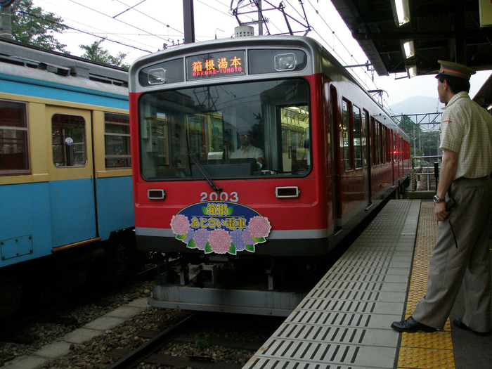 【箱根】“あじさい電車”で巡る♪ 沿線のアジサイの名所4選|見ごろは例年6月中旬~7月中旬