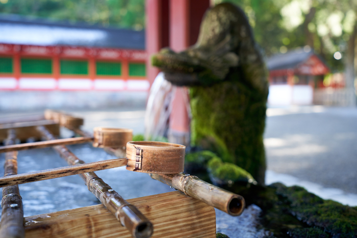 【鹿児島】霧島温泉郷でおすすめ観光地12選:四季折々に神秘的な自然の表情を堪能しよう