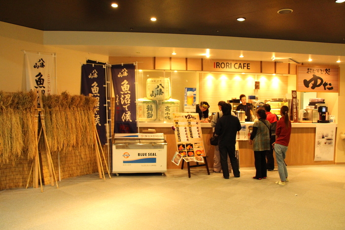 日帰りスキーなら新幹線が便利!びゅうで行くGALA(ガーラ)湯沢スキー