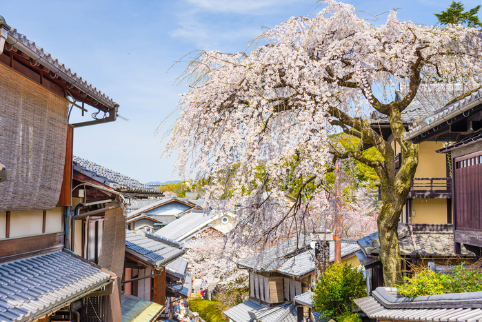 京都で安心して滞在できる人気のおすすめ民泊20選!ひとり旅でも家族旅行でも使える