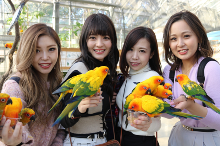 女子4人でわいわい旅!東京からも新大阪からも1時間半で実現する充実、浜松の旅♪