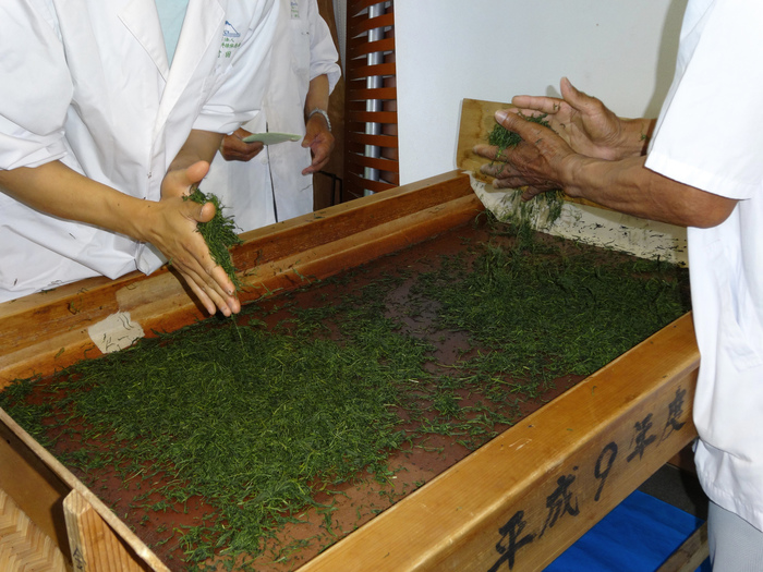 【静岡】お茶摘み&手もみ茶体験できる静岡中部&東部・伊豆のスポット4選