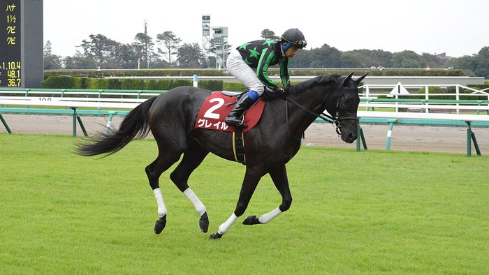 馬との触れ合いもできる、家族にもおすすめの中山競馬場の楽しみ方