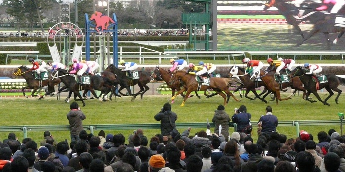 馬との触れ合いもできる、家族にもおすすめの中山競馬場の楽しみ方
