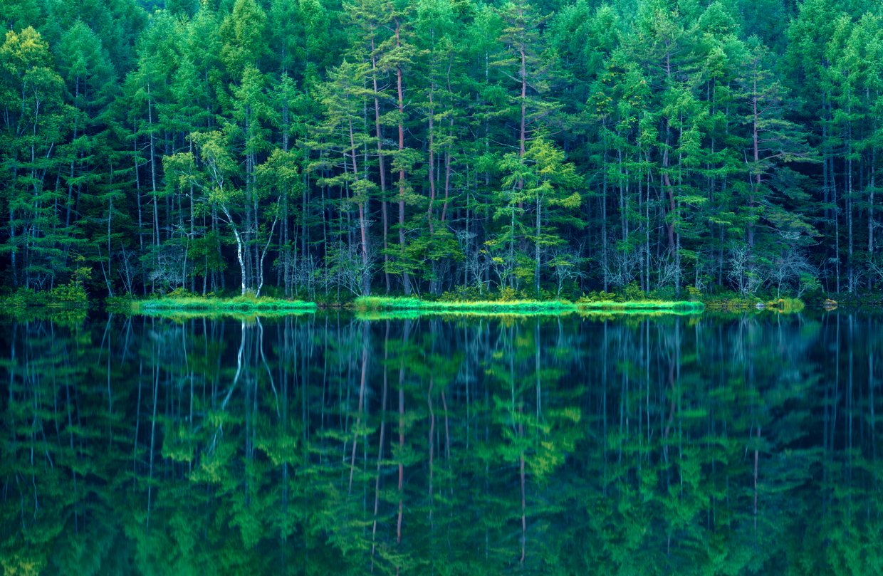 【長野】茅野で宿泊したい人気のおすすめカプセルホテル - おすすめ旅行を探すならトラベルブック(TravelBook)