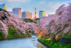 【東京】癒される公園12選｜自然に触れてリフレッシュ♪