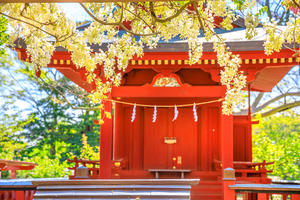 【大阪】大きな口を開けたご神体？難波八坂神社の歴史や見どころまとめ