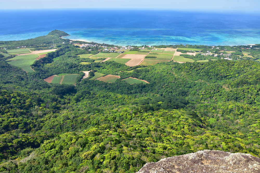 沖縄 県内最高峰の山 於茂登岳 おもとだけ の登り方を紹介 おすすめ旅行を探すならトラベルブック Travelbook