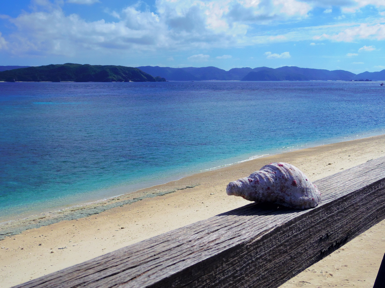 沖縄 ニシバマビーチはシュノーケリングのメッカ 個性豊かな阿嘉島のビーチスポットをご紹介 おすすめ旅行を探すならトラベルブック Travelbook