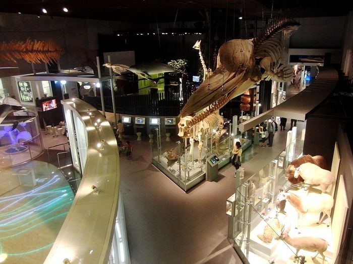 【東京】上野エリアの博物館&美術館ガイド! おすすめ5選