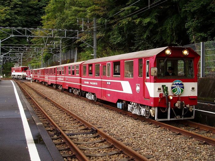 【静岡】陸の孤島は静岡県に存在した!? 秘境中の秘境「奥大井湖上駅」とは
