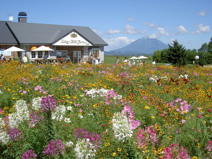 【2020年】北海道マニアおすすめのお土産はコレ!贈って喜ばれた雑貨&スイーツ