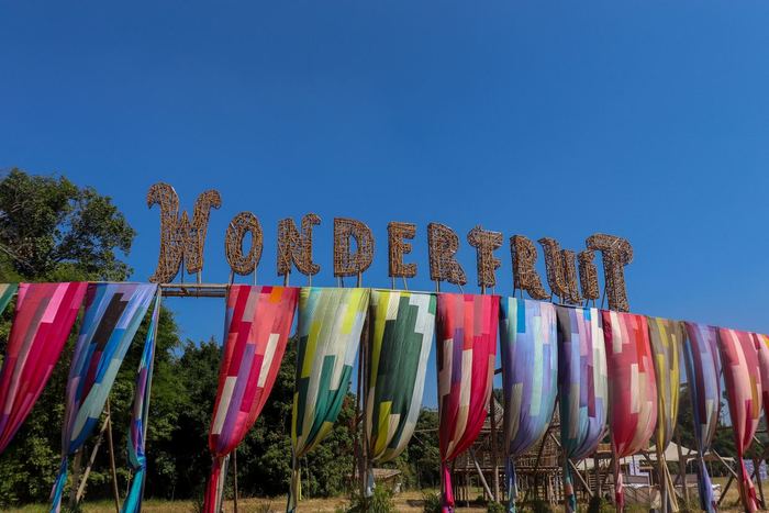 【タイ】パタヤの最先端野外音楽フェス「Wonderfruit Festival(ワンダーフルーツ・フェスティバル)」