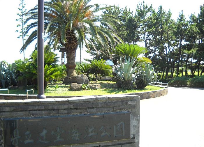 【神奈川】藤沢市で都内から日帰りで楽しめる人気の定番観光地5選