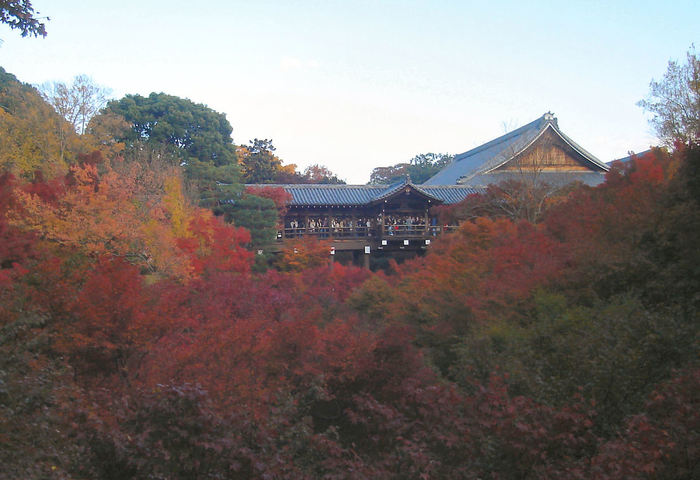 【京都】伏見稲荷大社の観光ガイド:朱色の千本鳥居に圧倒される