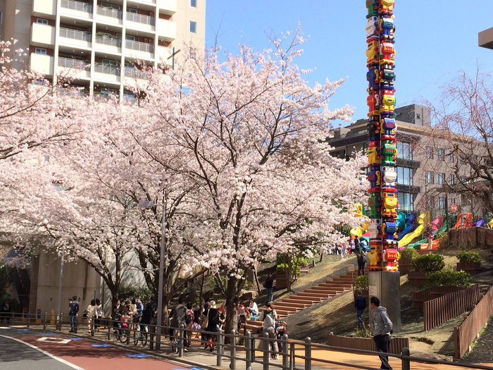 【六本木】おもしろ遊具がたくさん!春にはお花見もできる「さくら坂公園」の魅力