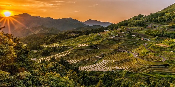 【三重】日本の原風景、美しい棚田が広がる丸山千枚田の見どころガイド