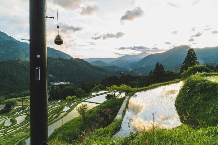 【三重】日本の原風景、美しい棚田が広がる丸山千枚田の見どころガイド