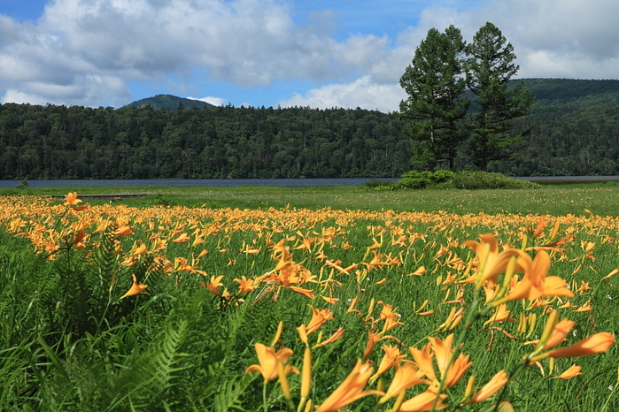 【福島県】南会津地方の観光情報!特急リバティで温泉や絶景に直行しよう♪