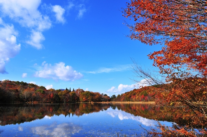 【福島県】南会津地方の観光情報!特急リバティで温泉や絶景に直行しよう♪