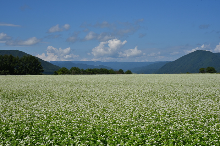 【福島県】南会津地方の観光情報!特急リバティで温泉や絶景に直行しよう♪