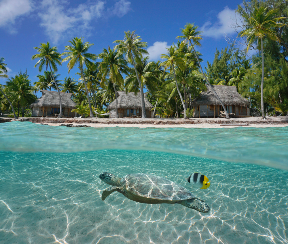 ティケハウ島の旅行・ガイド おすすめ旅行を探すならトラベルブック(TravelBook)