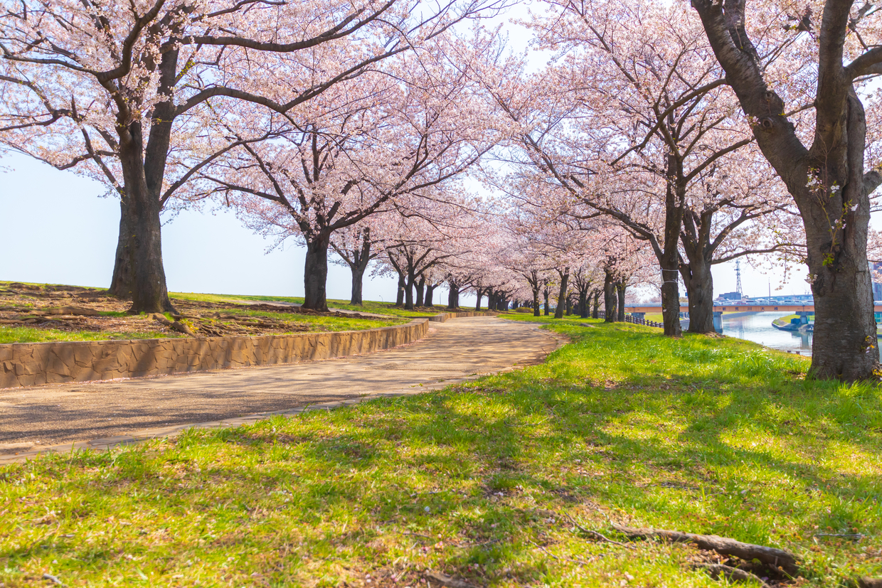 東京 赤羽周辺のおすすめカプセルホテル 女性人気が高い格安宿もご紹介 おすすめ旅行を探すならトラベルブック Travelbook