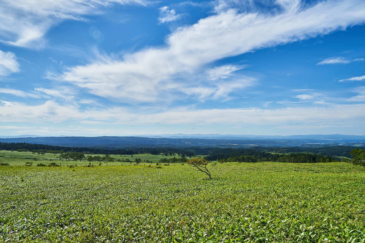 北海道 北見のおすすめホテル選 子連れにも人気の高い宿をご紹介 おすすめ旅行を探すならトラベルブック Travelbook