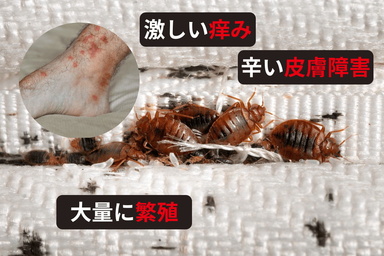 家庭用化学薬品