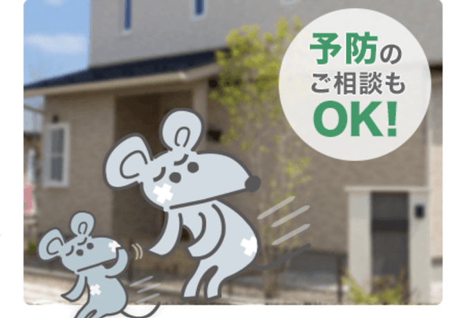 ねずみ110番 」ってどんな会社？口コミ・評判・料金まで徹底調査